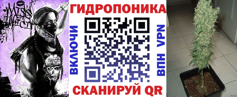 Канабис семена  купить  сайты  Заполярный 